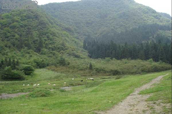 仙女山夢幻谷
