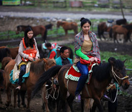 五一仙女山騎馬游