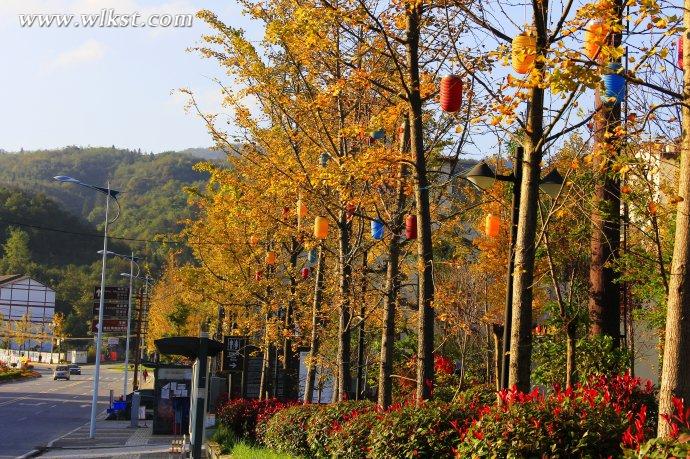  秋天的童話——風(fēng)過武隆仙女山小鎮(zhèn) 