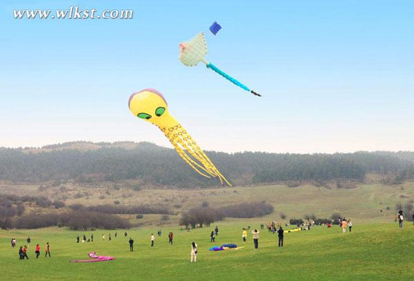 四月踏青出游最浪漫！掃武隆景區微信免費游仙女山
