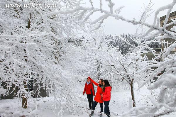 仙女山看雪需要門票嗎？多少錢？
