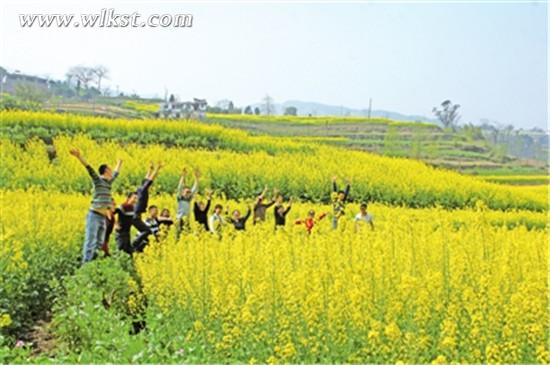 游客們在油菜花海里玩得正嗨。