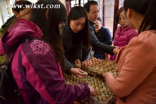 游客自行購(gòu)買農(nóng)家土雞蛋