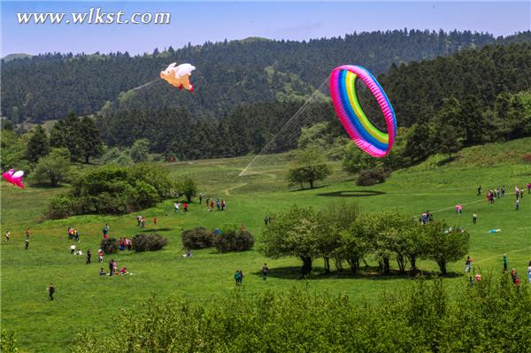 圖為2016仙女山高山國(guó)際風(fēng)箏季在仙女山大草原成功放飛的世界最大五彩光環(huán)風(fēng)箏。王俊杰/攝