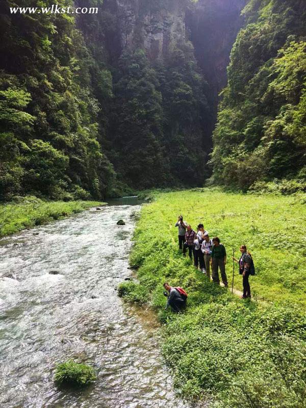 旅行狂人老貓說自駕之二十:世外桃源犀牛古寨