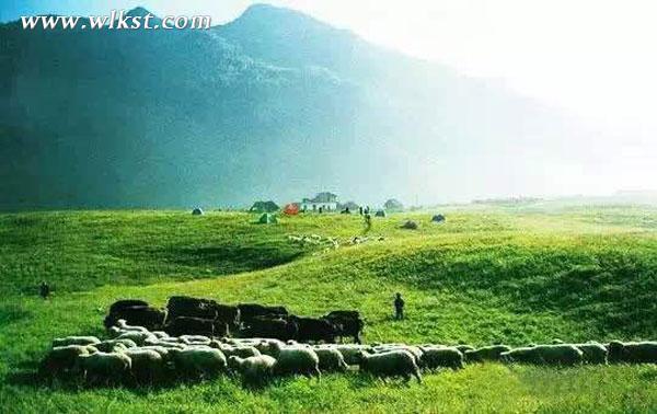 旅行狂人老貓說自駕之十五:仙女山