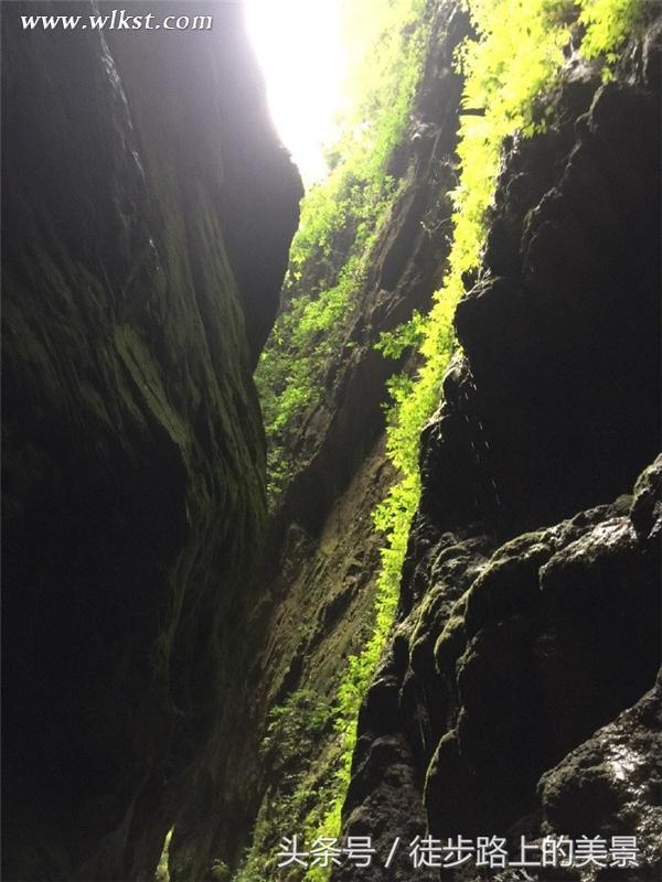 原來杜海濤媽媽跑到武隆旅游來啦