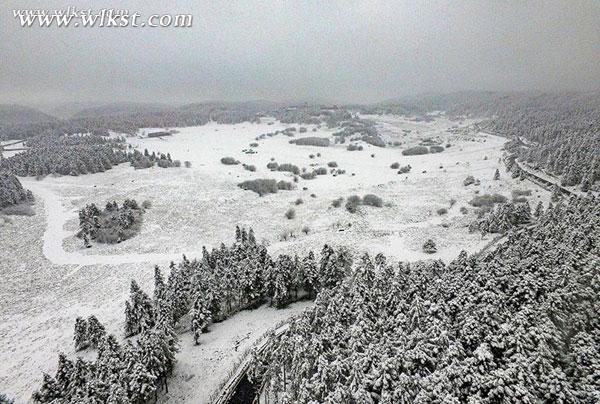 仙女山驟降大雪 三八節陪她一起到“白頭”
